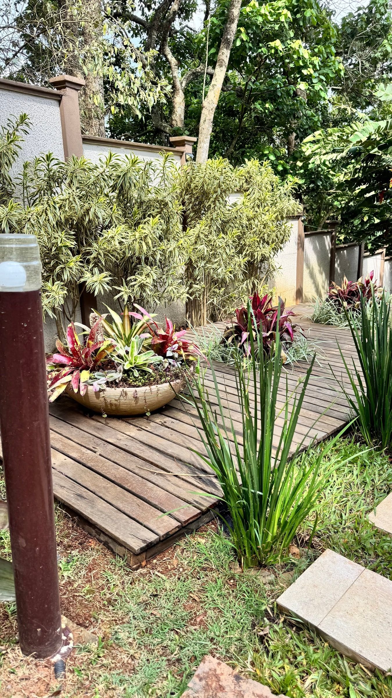 Deck de madeira com bromélias, jardim mantido pela Alpha