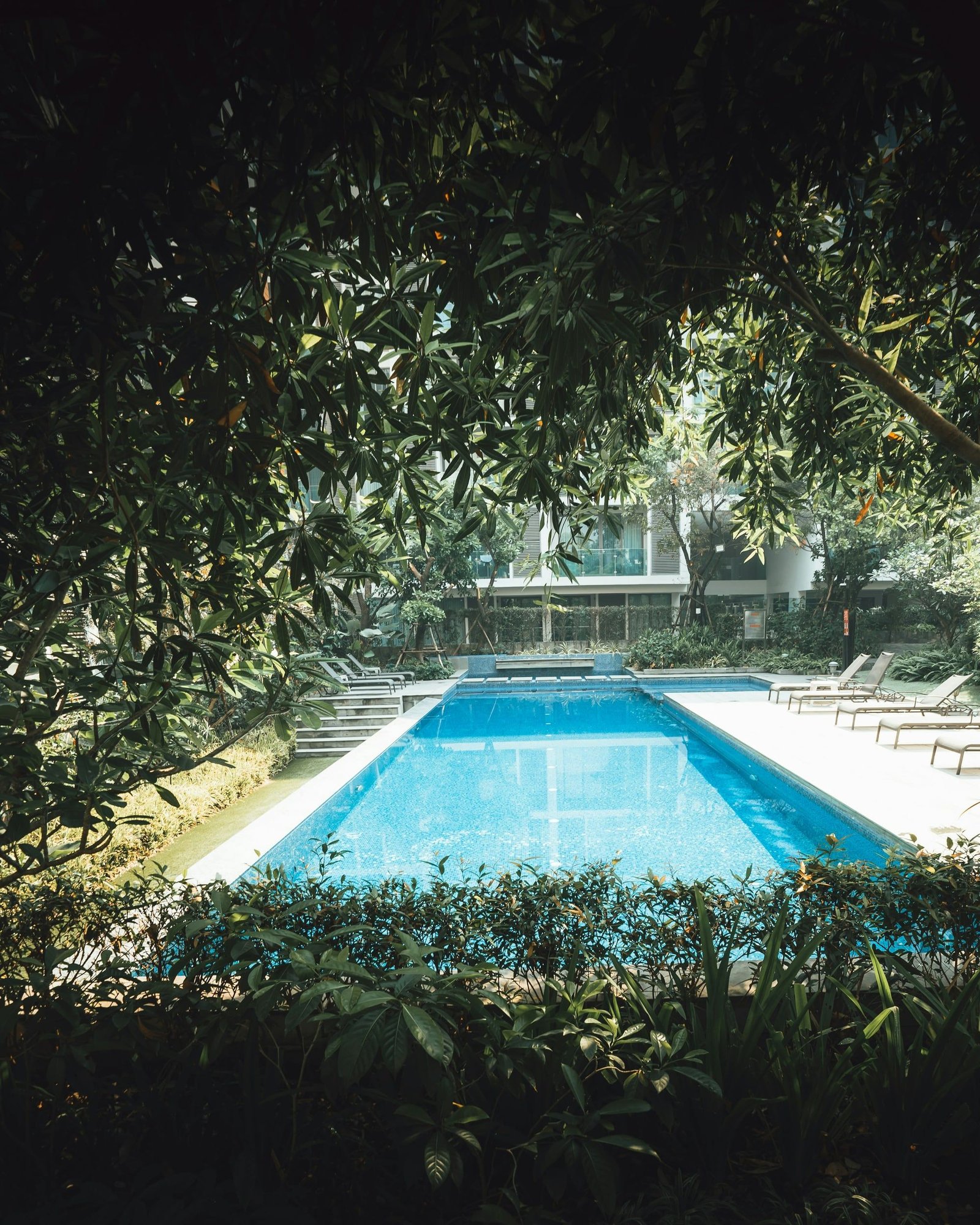 Piscina de água azul cercada de jardim